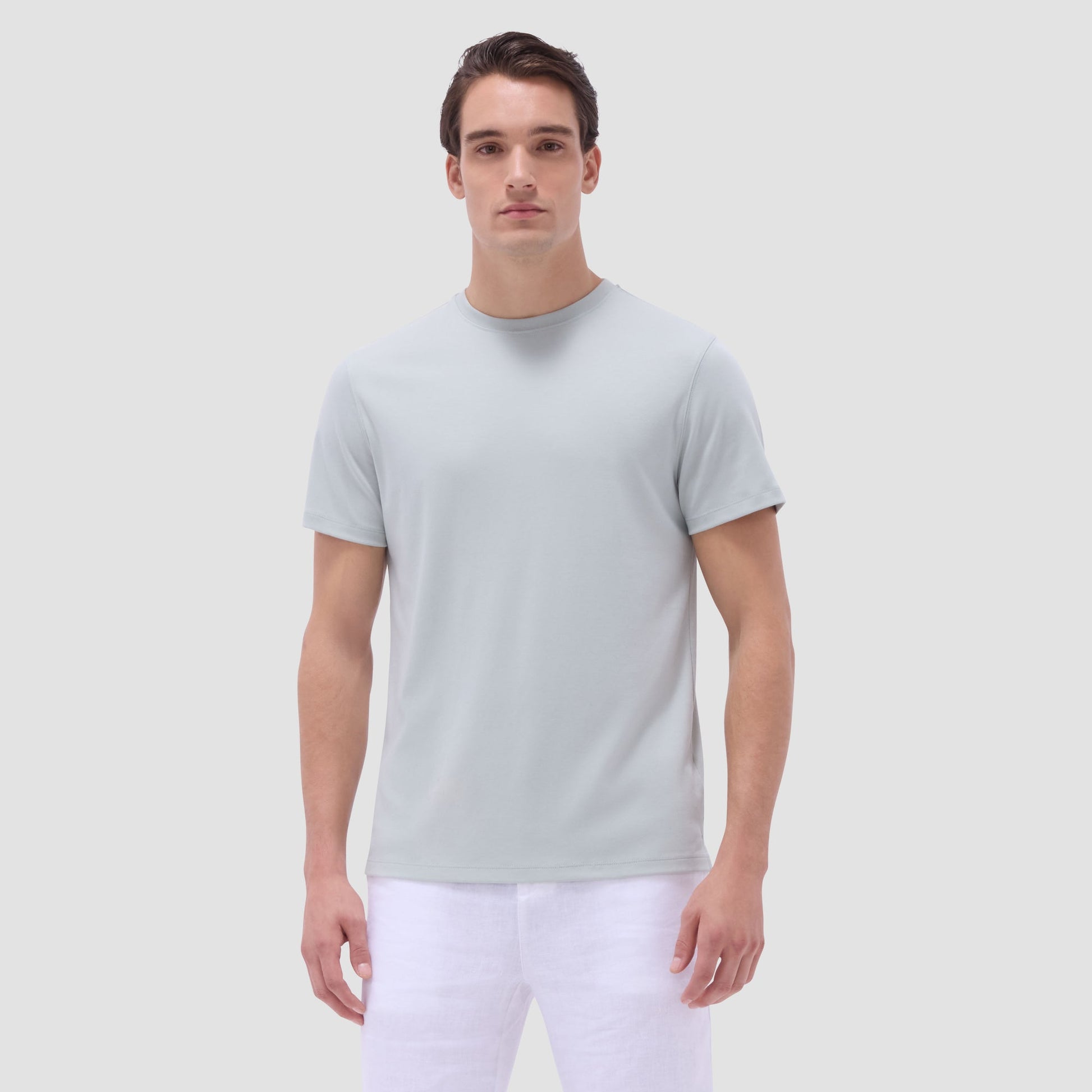 Bugatchi Hank Crew Neck T-Shirt Mint