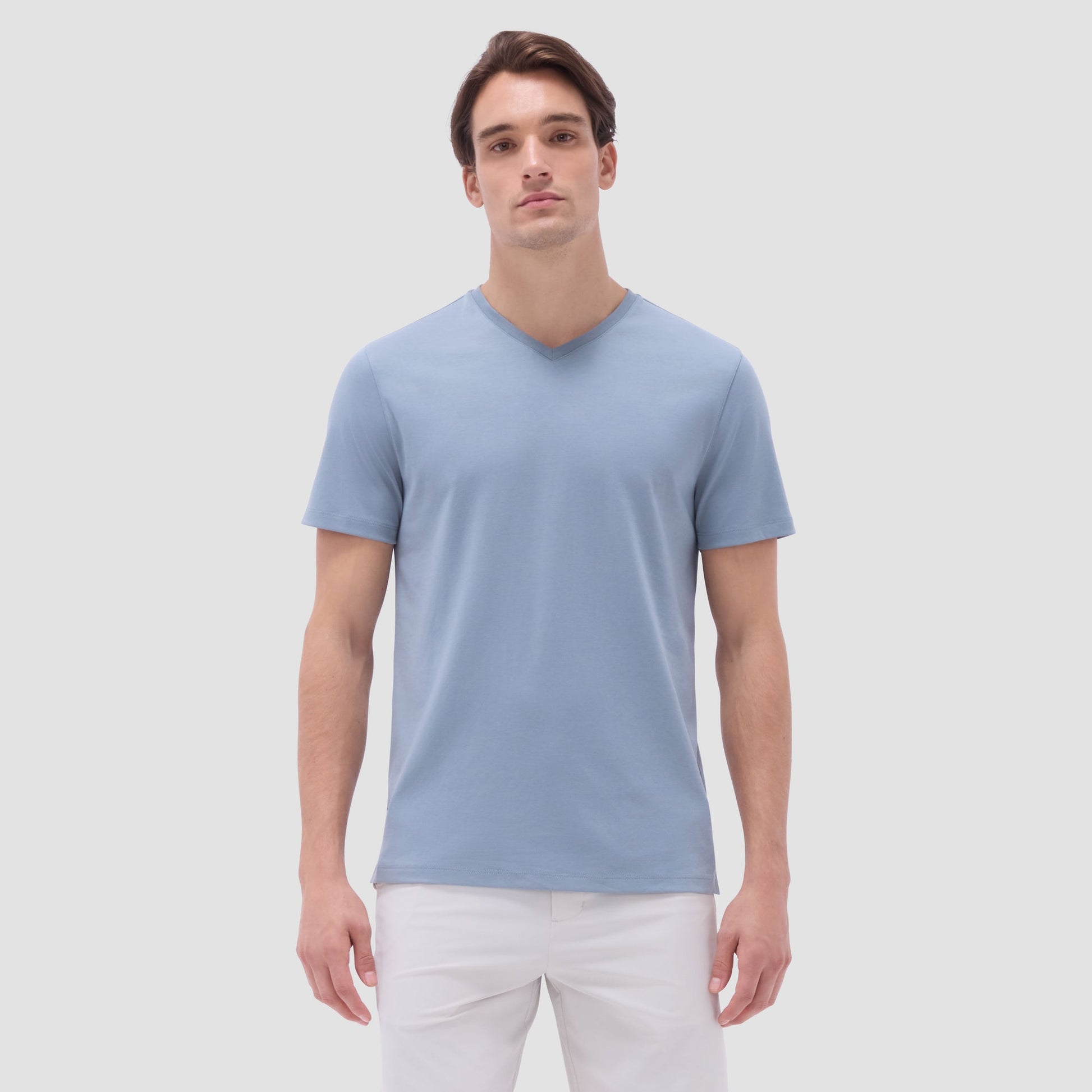 Bugatchi Holden V-Neck T-Shirt Shark